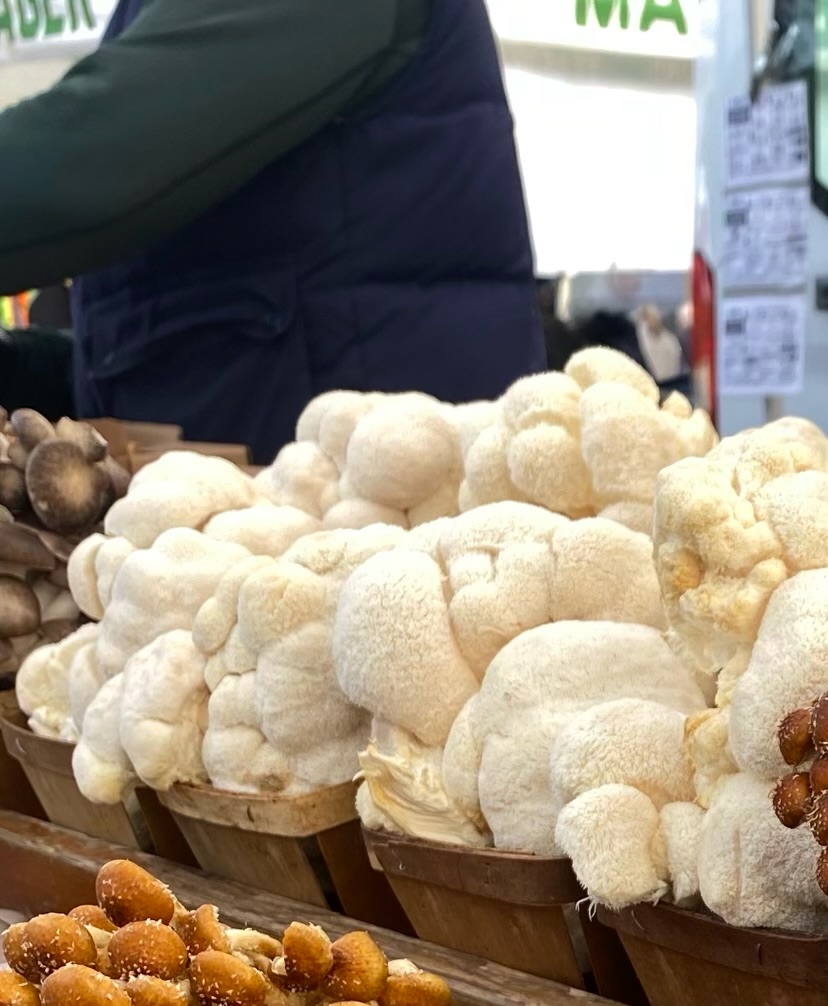 Golden oyster mushrooms