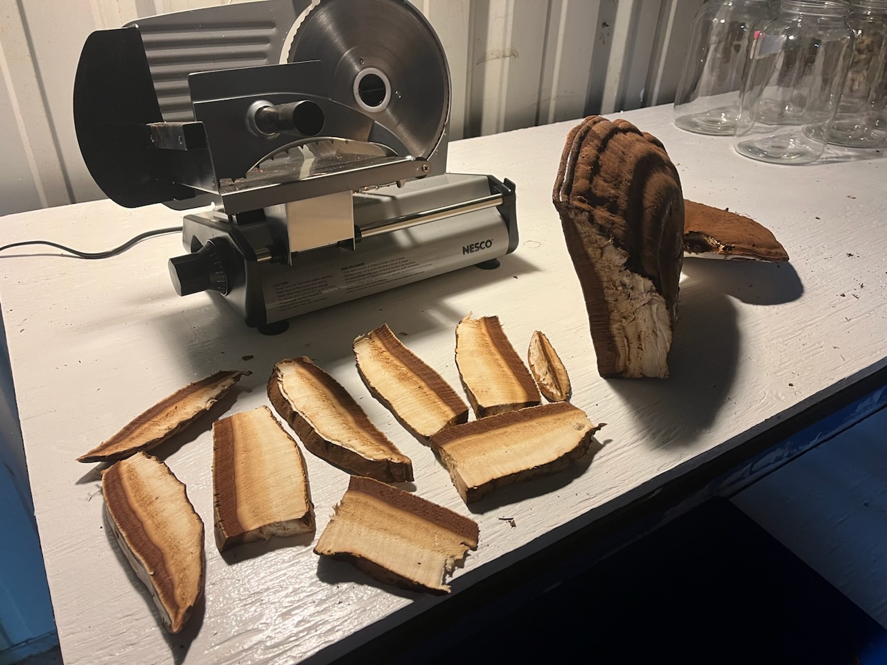 Large portobello-type mushroom